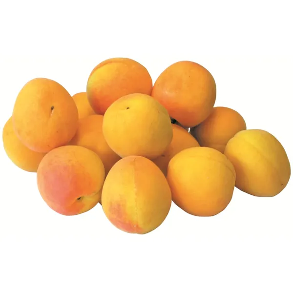 Aprikozes 1. šķira 500g