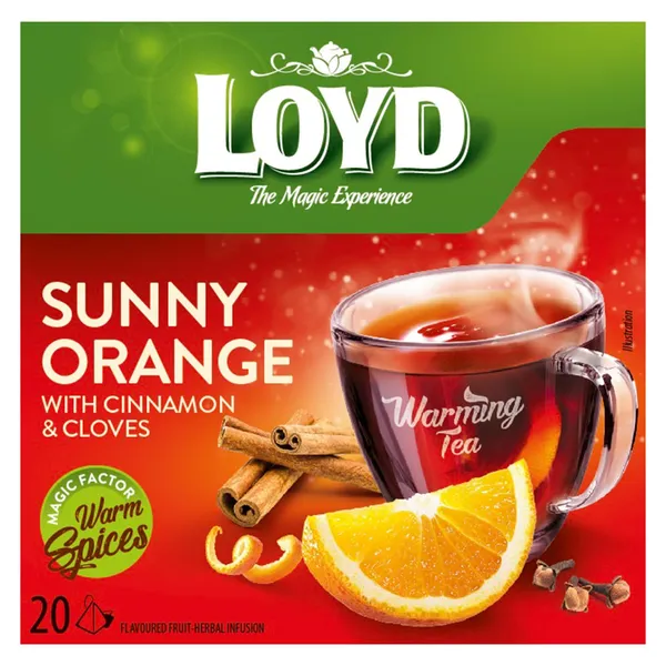 Tēja Loyd pyramids sildoša apelsīnu 40g